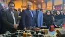 با حضور معاون توسعه اشتغال وزارت تعاون، کار و رفاه اجتماعی آغاز به کار کرد.